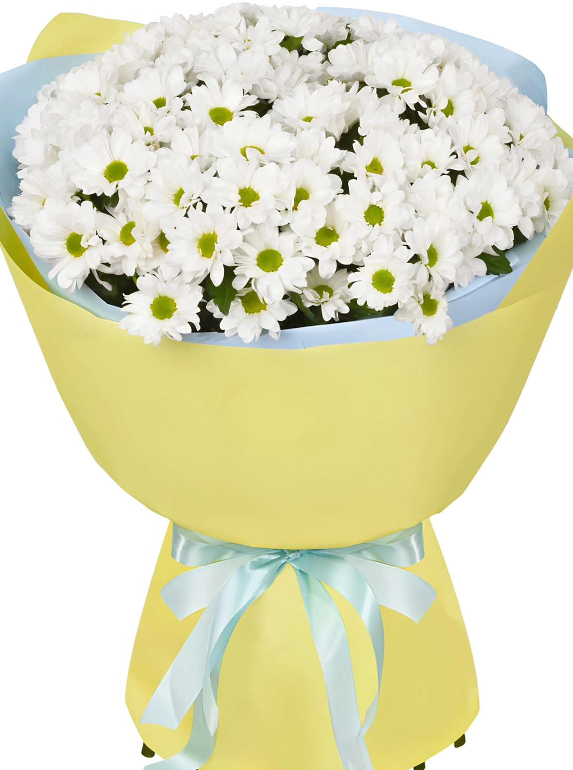 Büyük Sarı Kağıtta Papatya Buketi